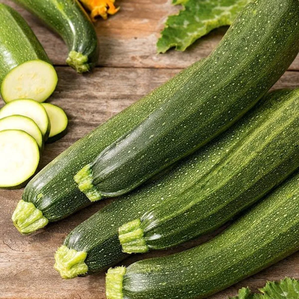 Kesäkurpitsa 'Zuboda'