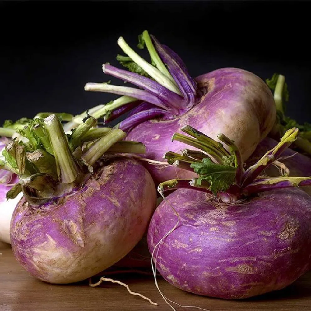 Nauris 'Purple Top Milan'