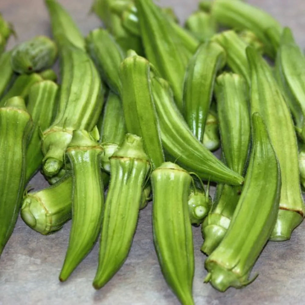 Okra 'Emerald'