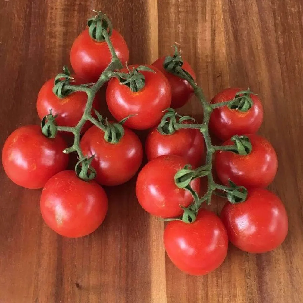 Kirsikkatomaatti 'Red Cherry'