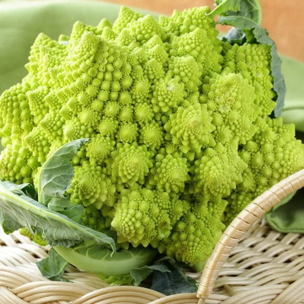 Kukkakaali 'Romanesco Natalino'