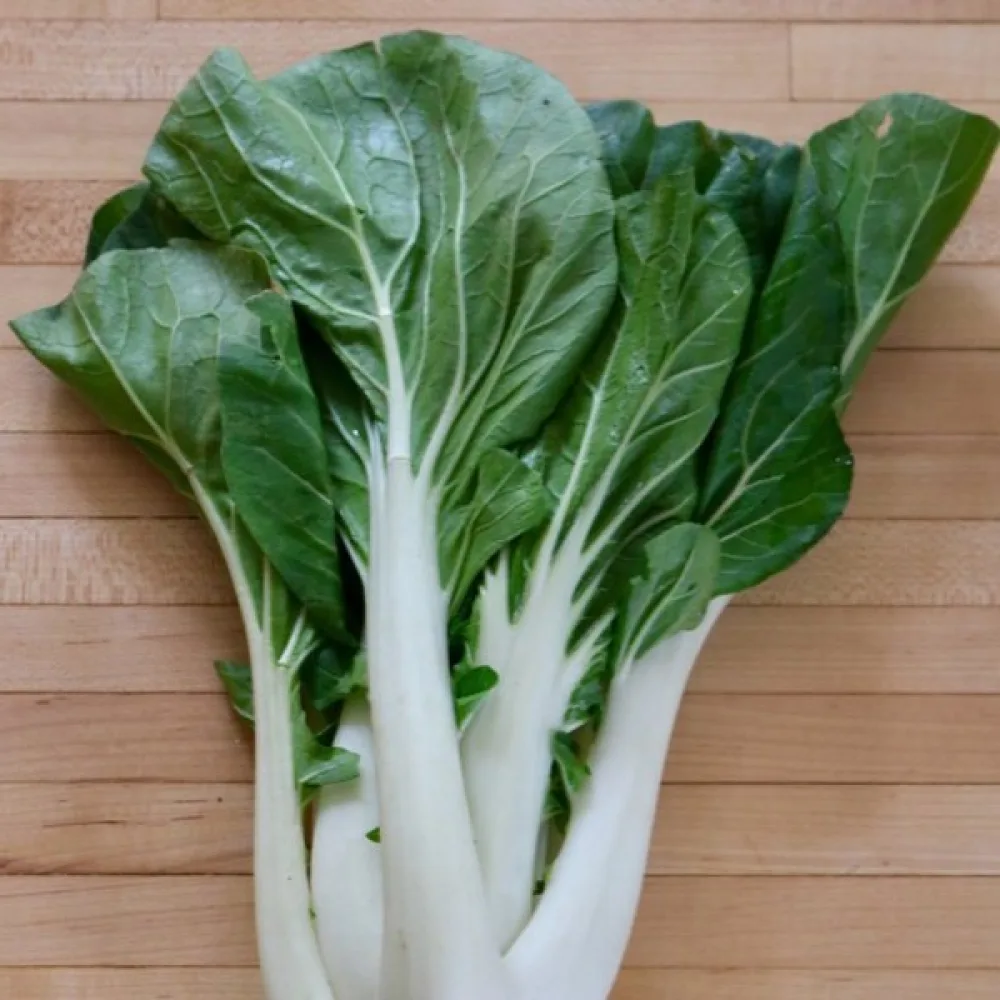 Tatsoi