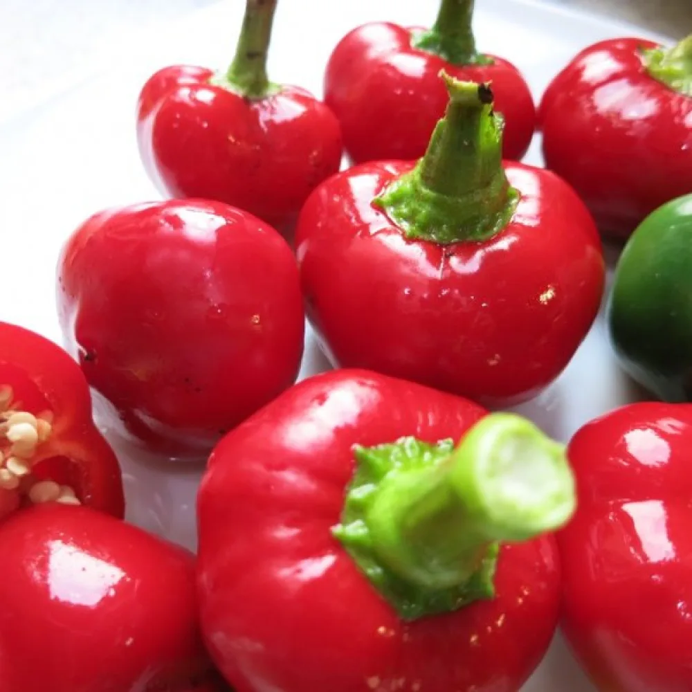 Tomaattipaprika 'Oleńka'