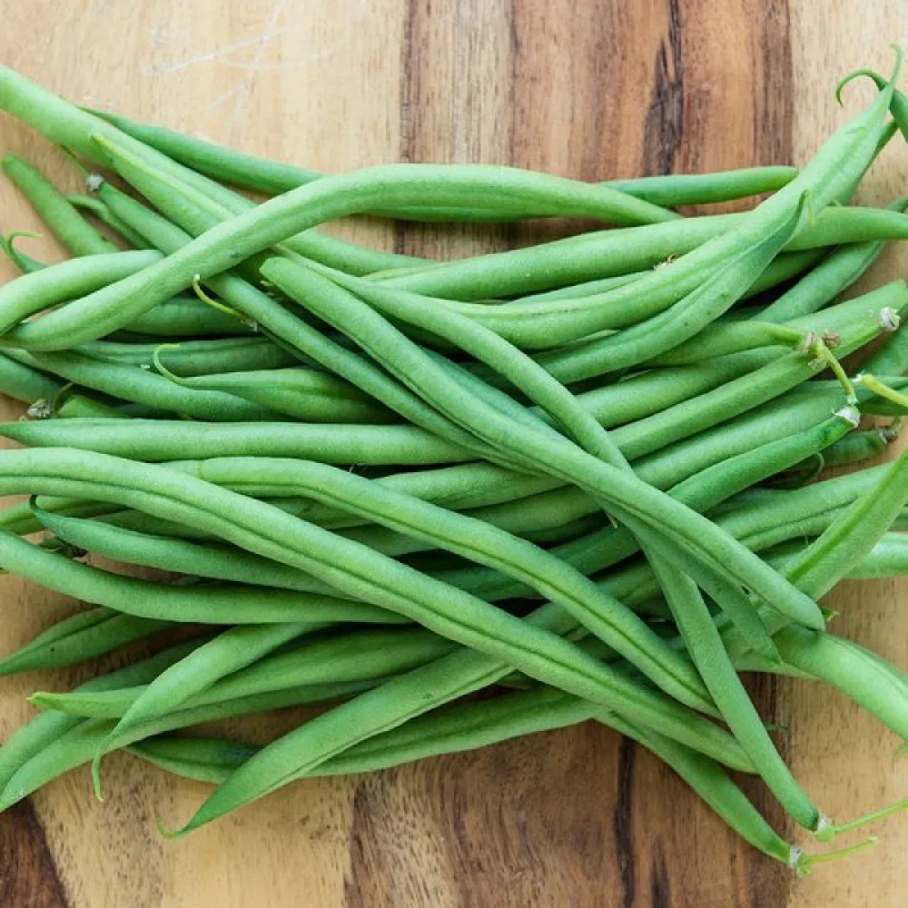 Tarhapapu 'Topcrop'