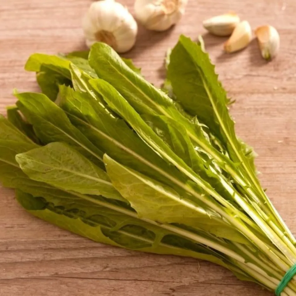 Sikuri 'Spadona'