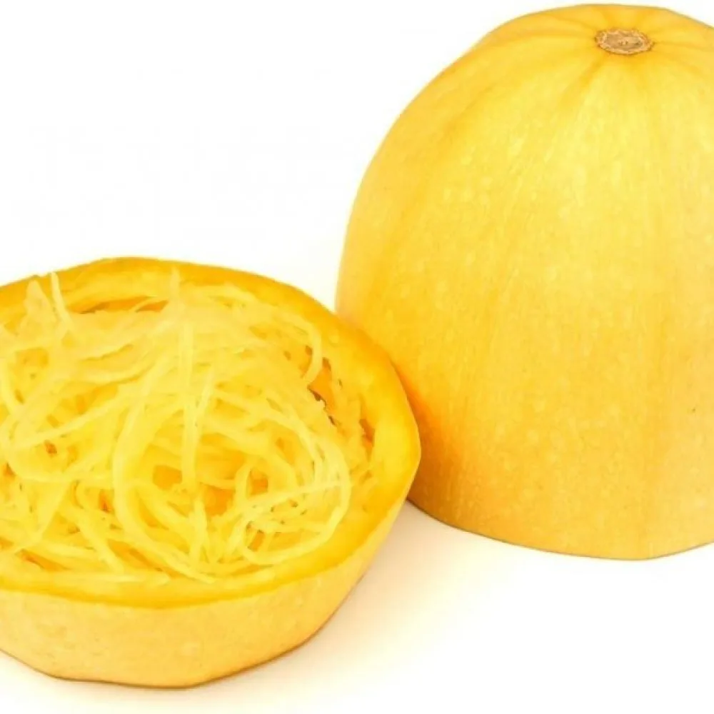 Spagettikurpitsa 'Makaronowa Warszawska'