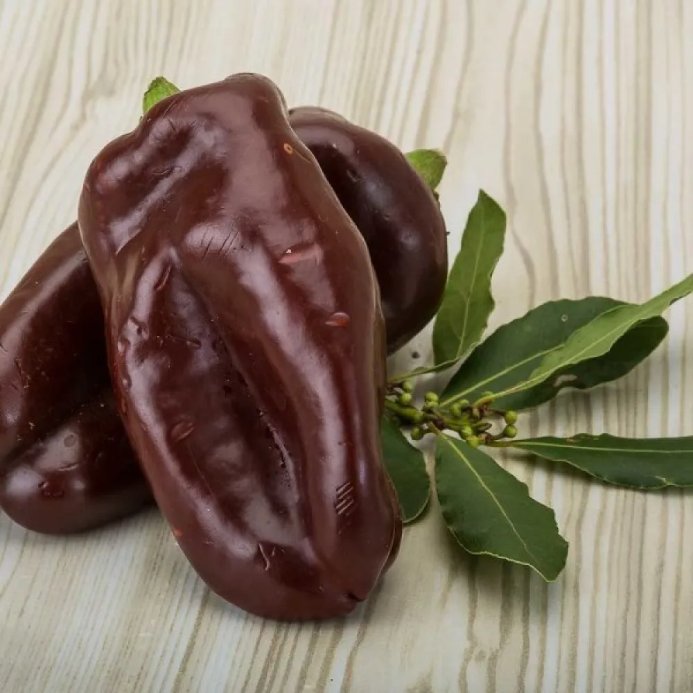 Paprika 'Chocolate'