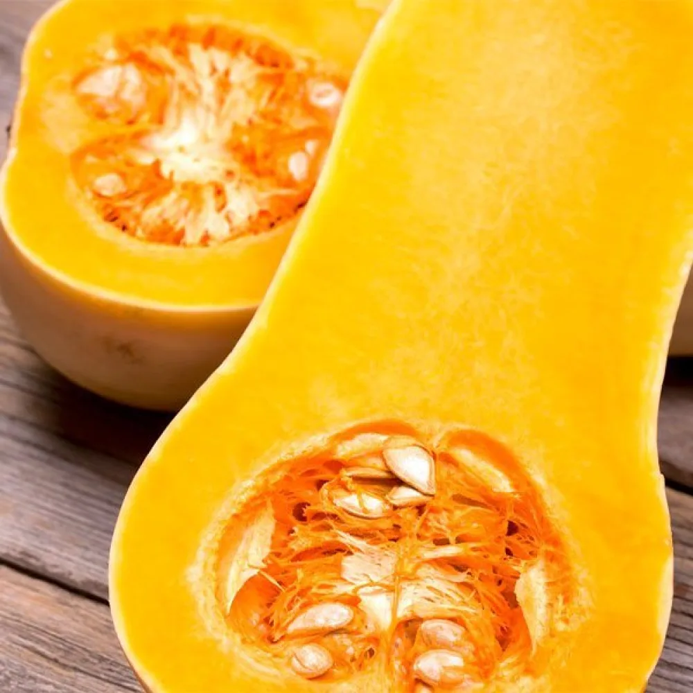 Talvikurpitsa 'Wrinkled Butternut'