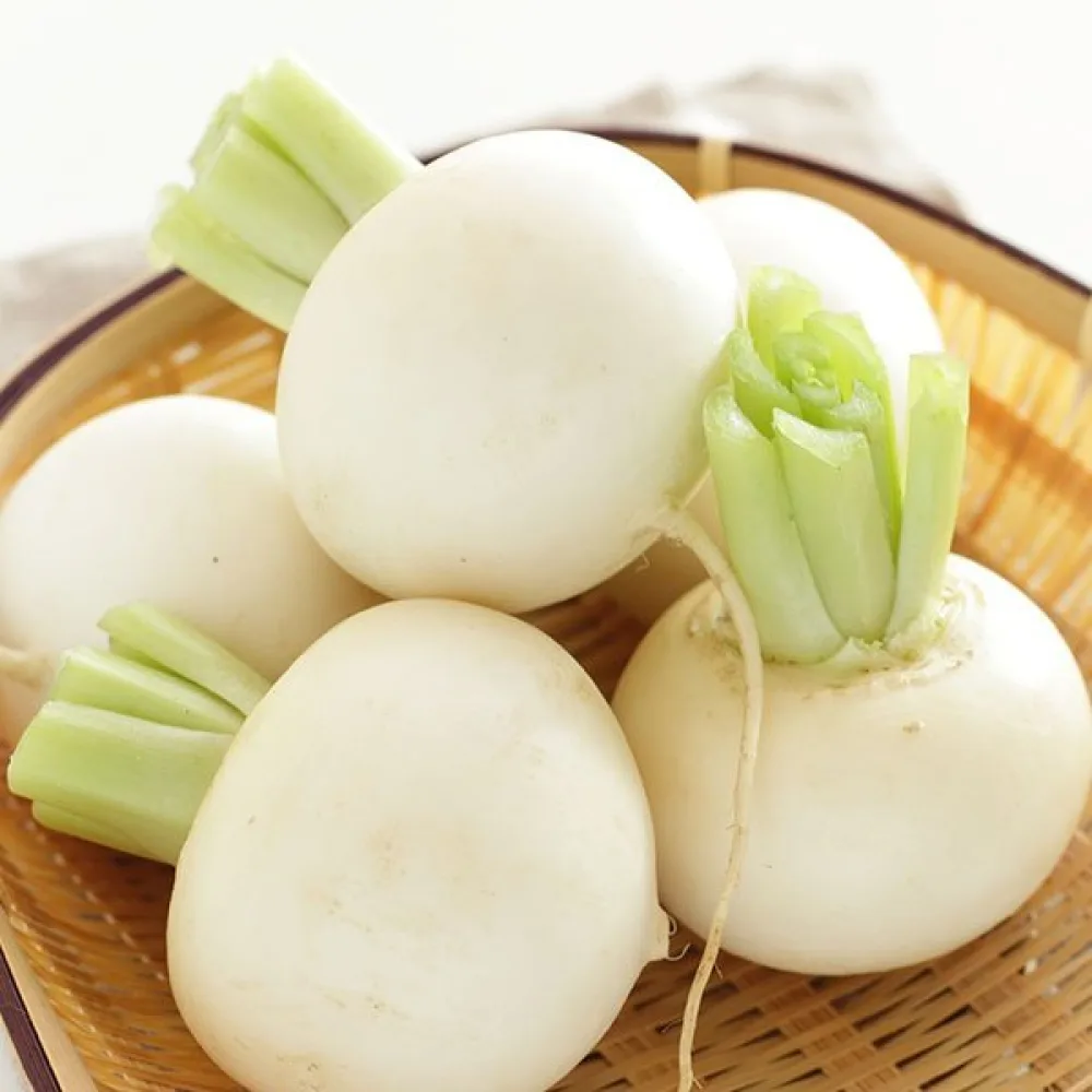 Nauris 'Snowball'