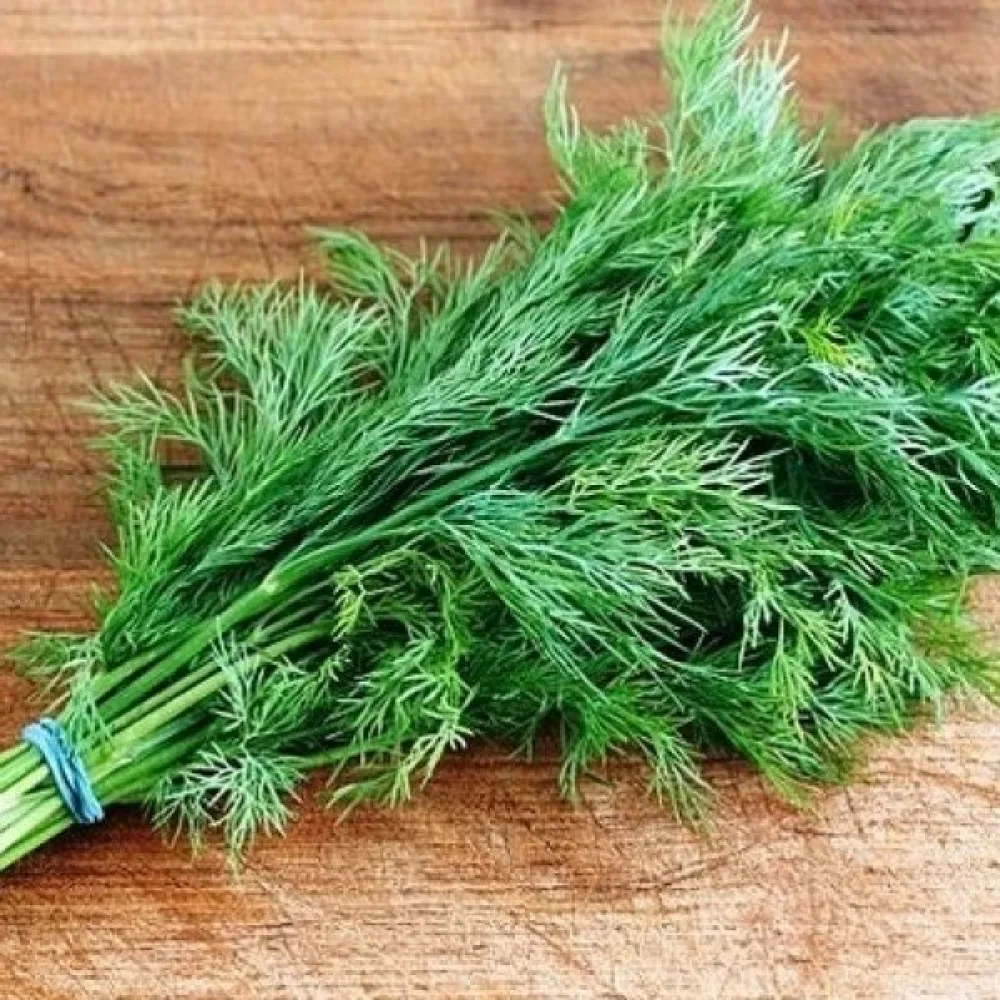 Tilli 'Lukullus'