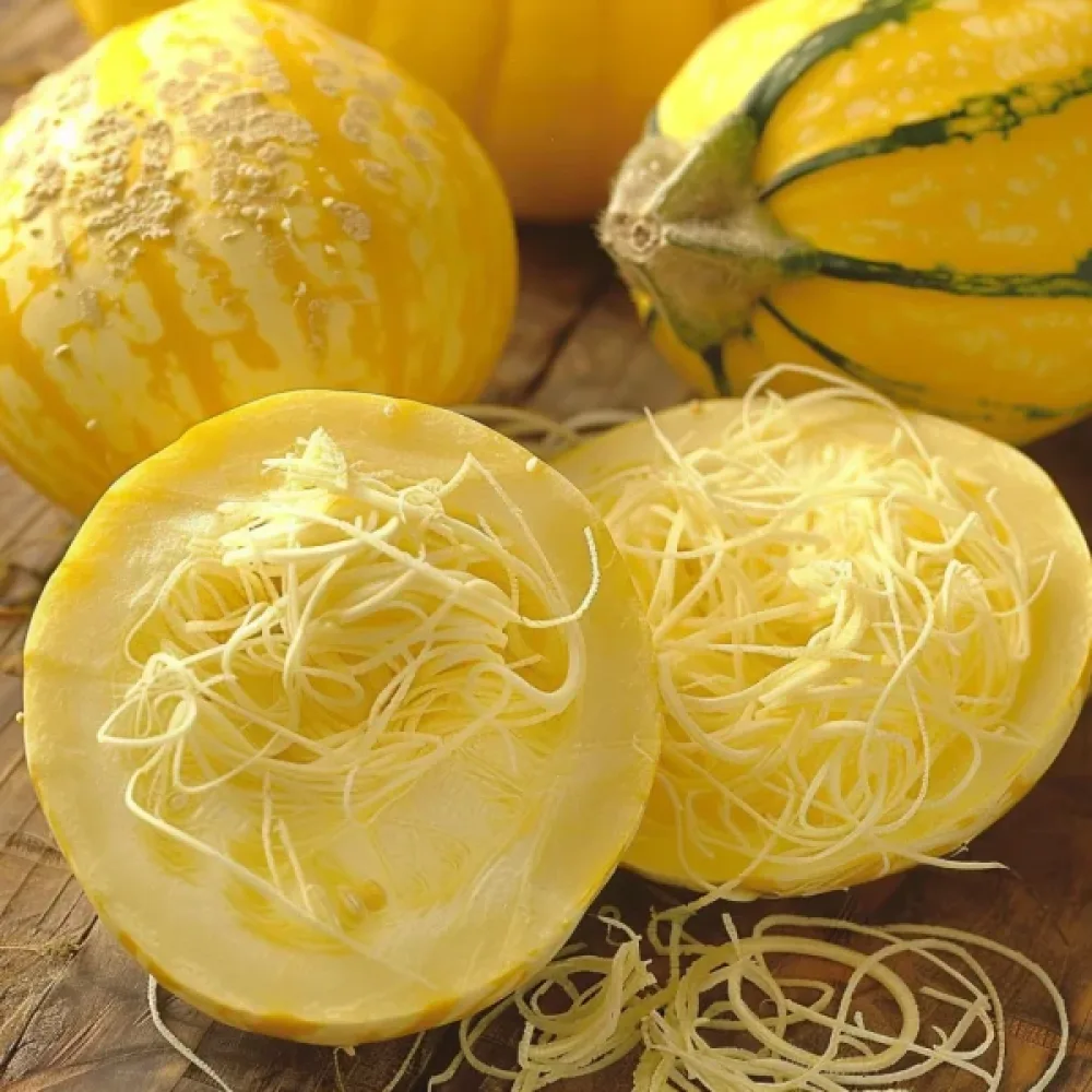 Spagettikurpitsa 'Pyza'