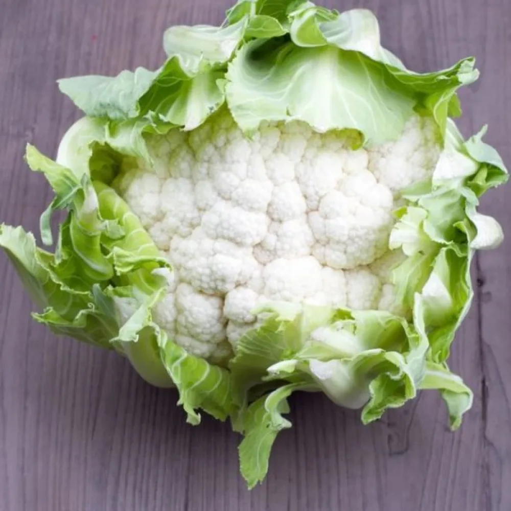 Kukkakaali 'Igloo'