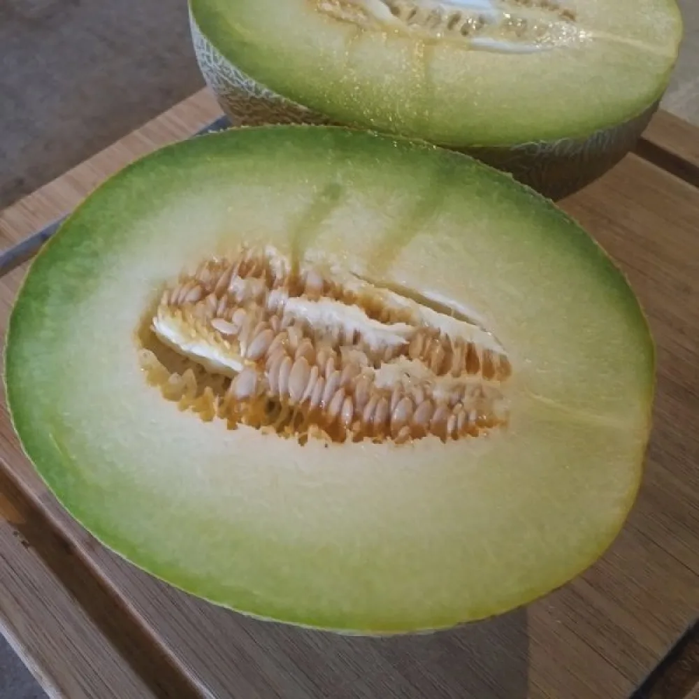 Meloni 'Seledyn' F1