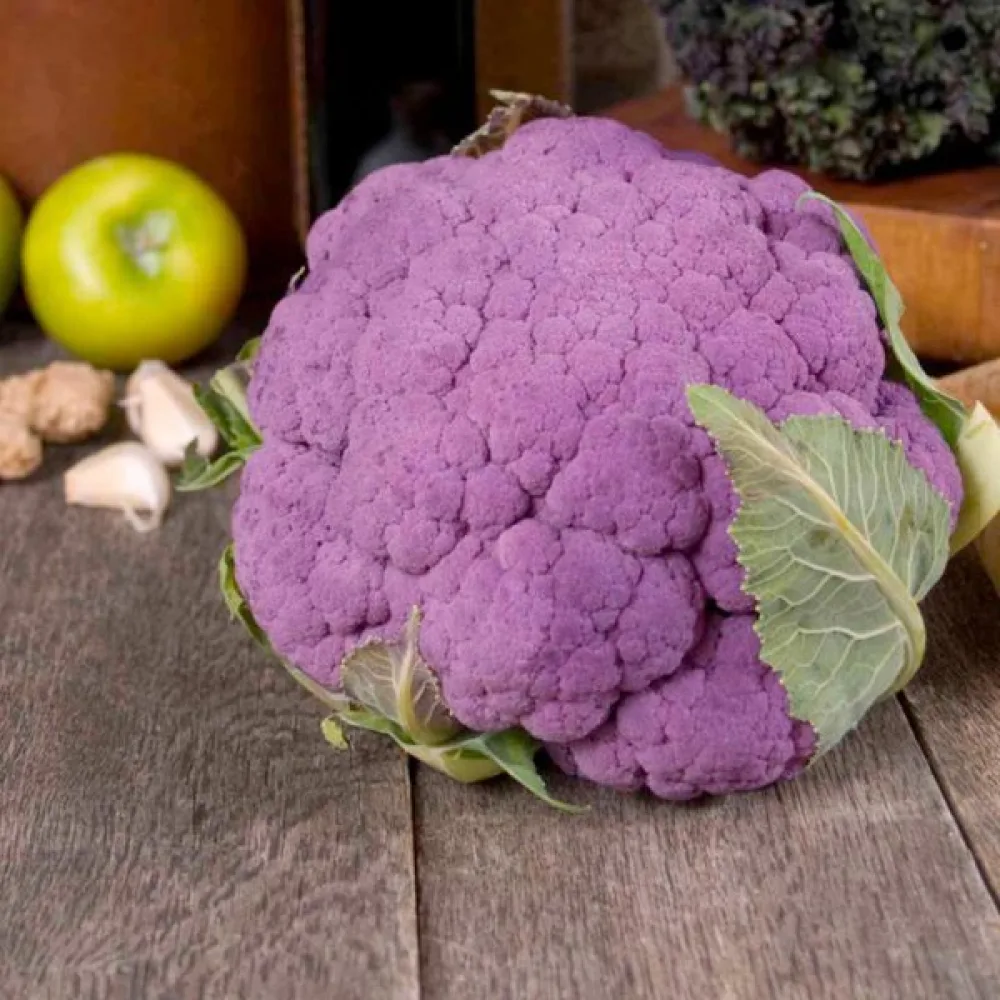 Kukkakaali 'Di Sicilia Violetto'