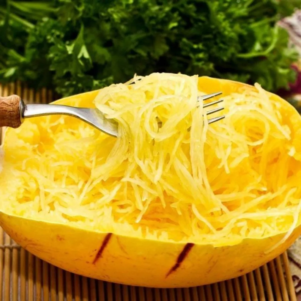 Spagettikurpitsa 'Makaronowa Warszawska'