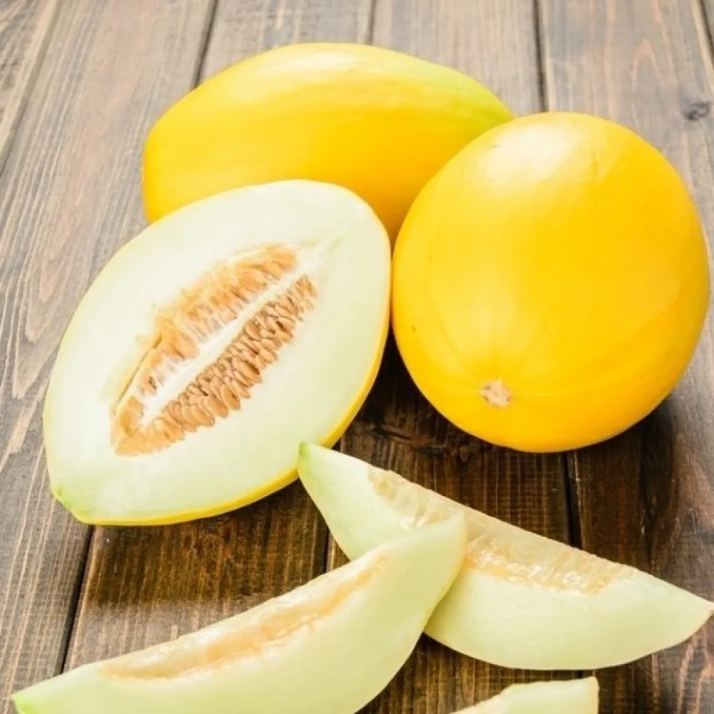 Meloni 'Oliwin'