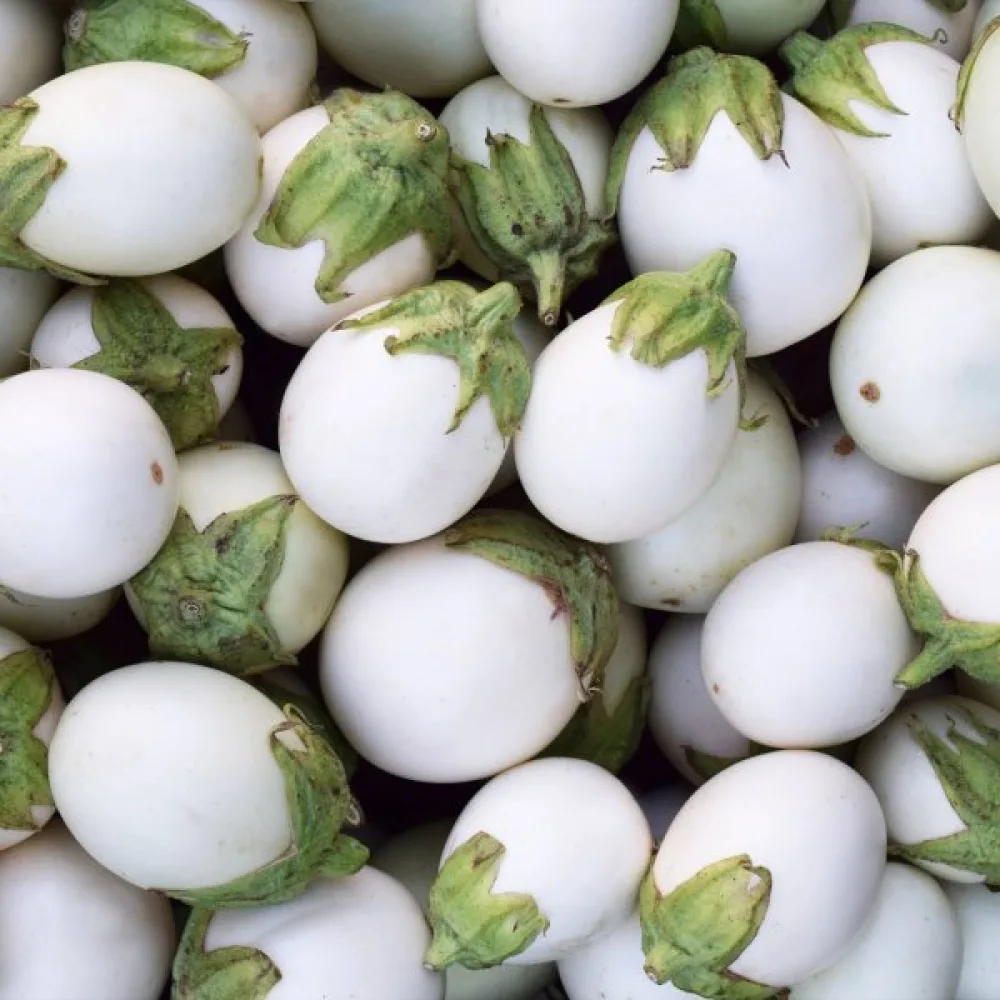 Munakoiso 'White Egg'
