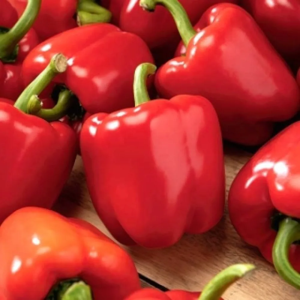 Paprika 'Ożarowska'