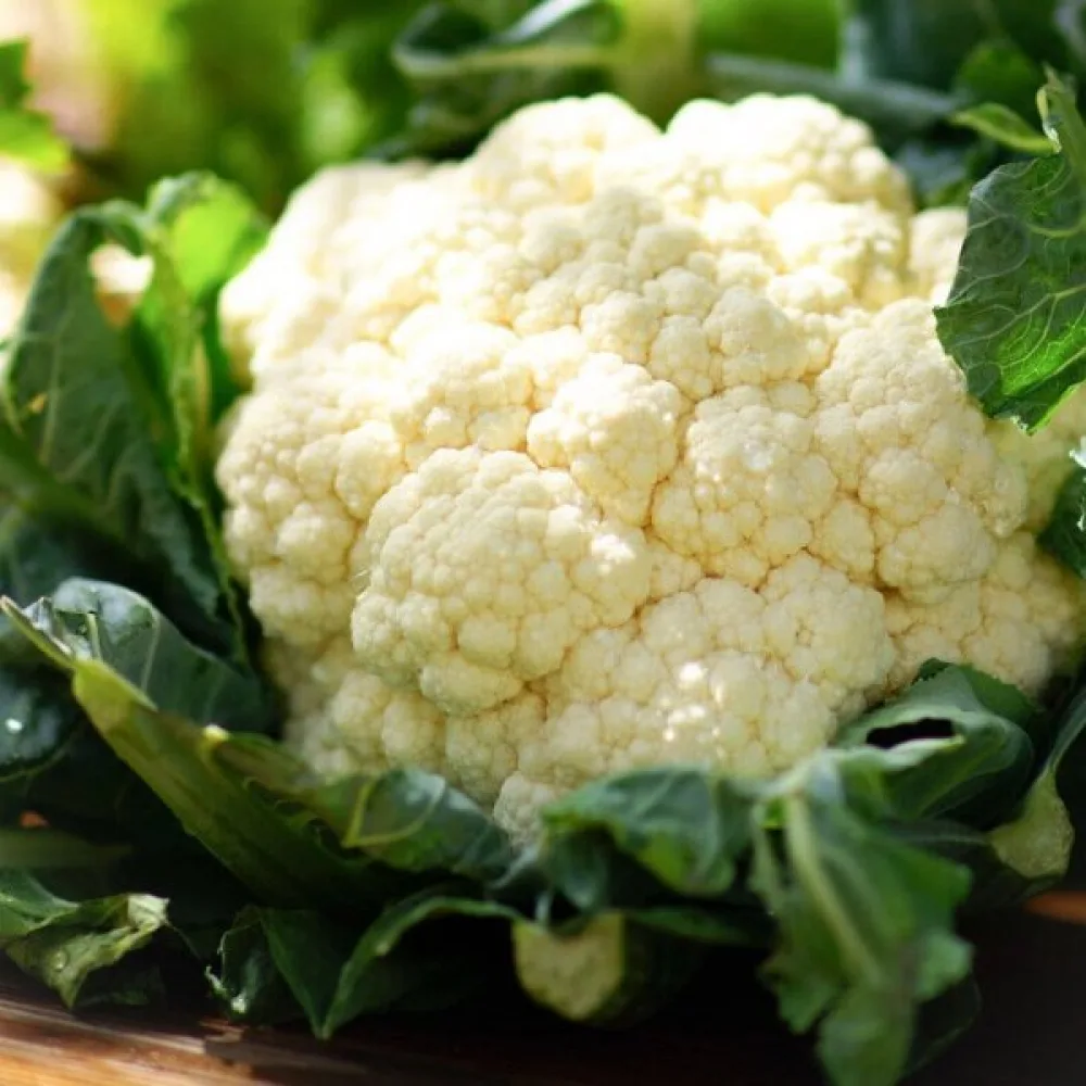 Kukkakaali 'Early Snowball X'