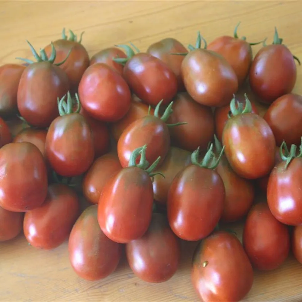 Kirsikkatomaatti 'Black Plum'