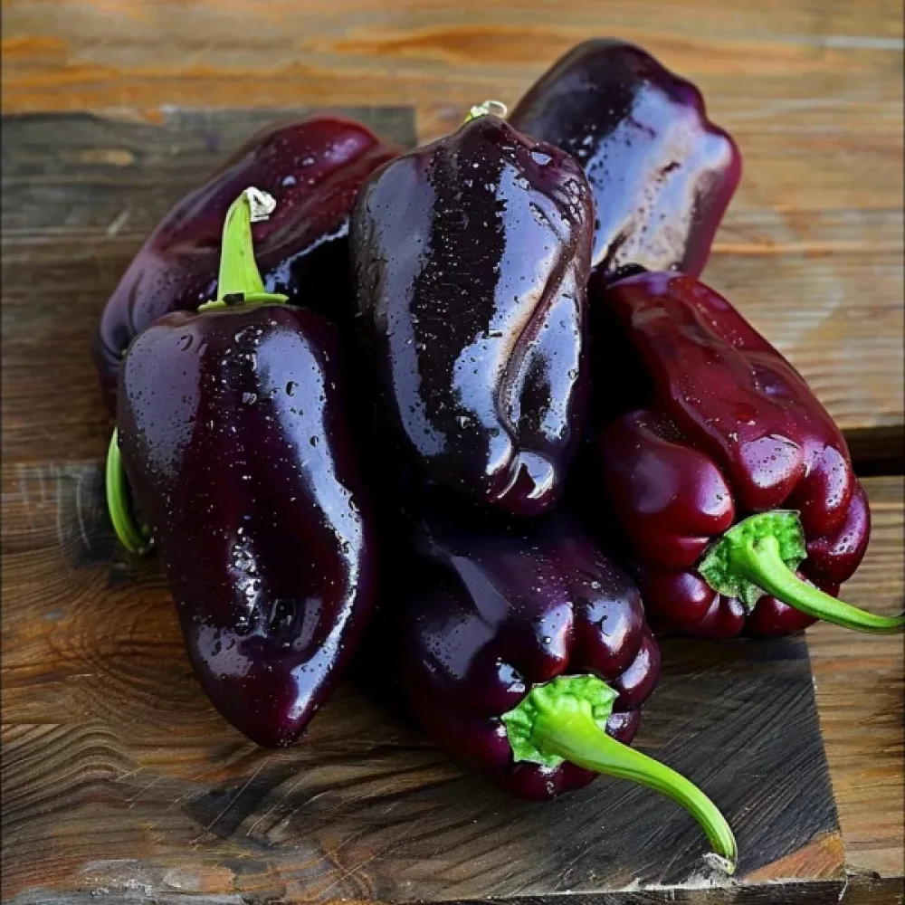 Paprika 'Zulu'