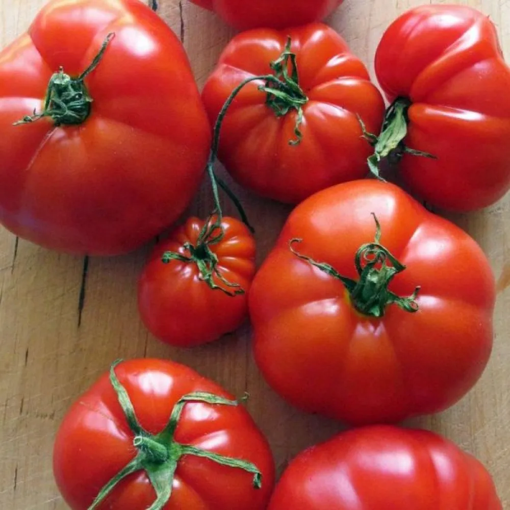Tomaatti 'Marmande'