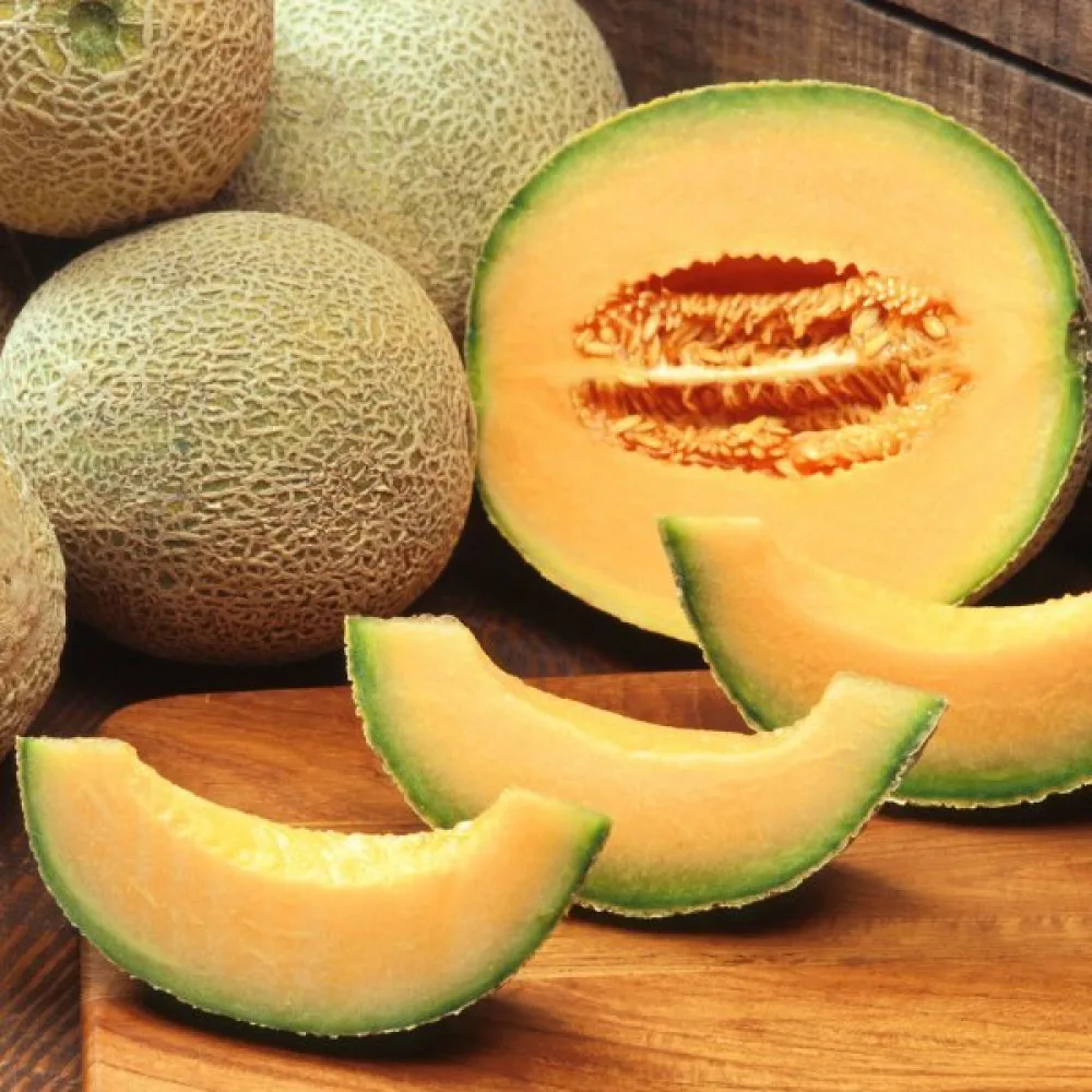 Meloni 'Cantalupo di Charentais'