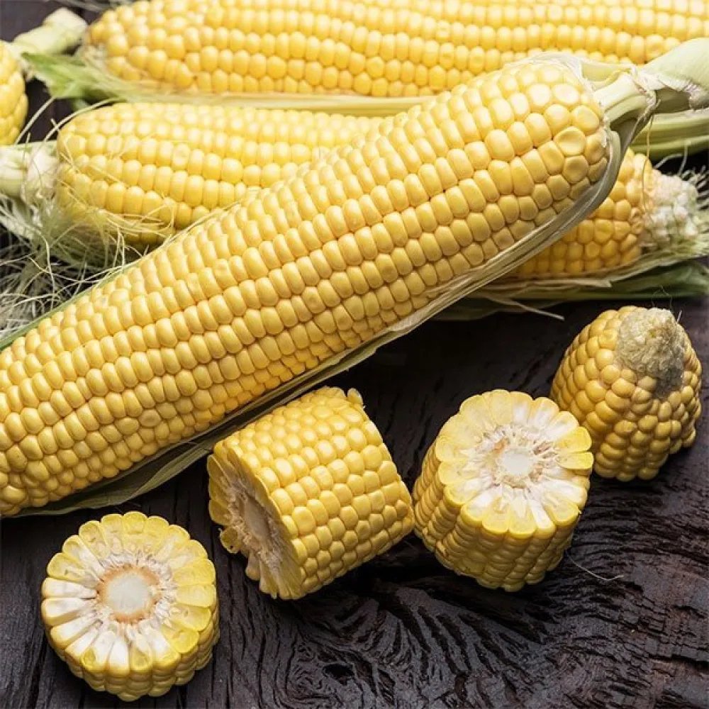 Sokerimaissi 'Ramondia'