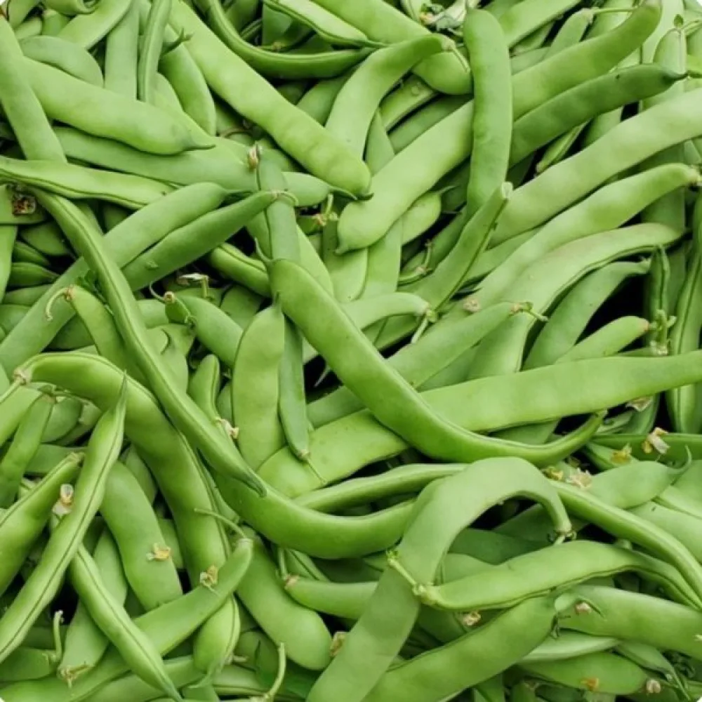 Tarhapapu 'Valja'