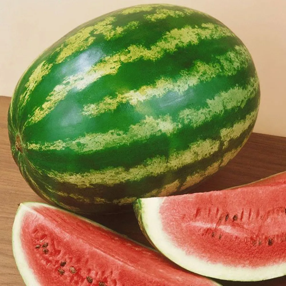 Vesimeloni 'Crimson Sweet' 8–10 kg