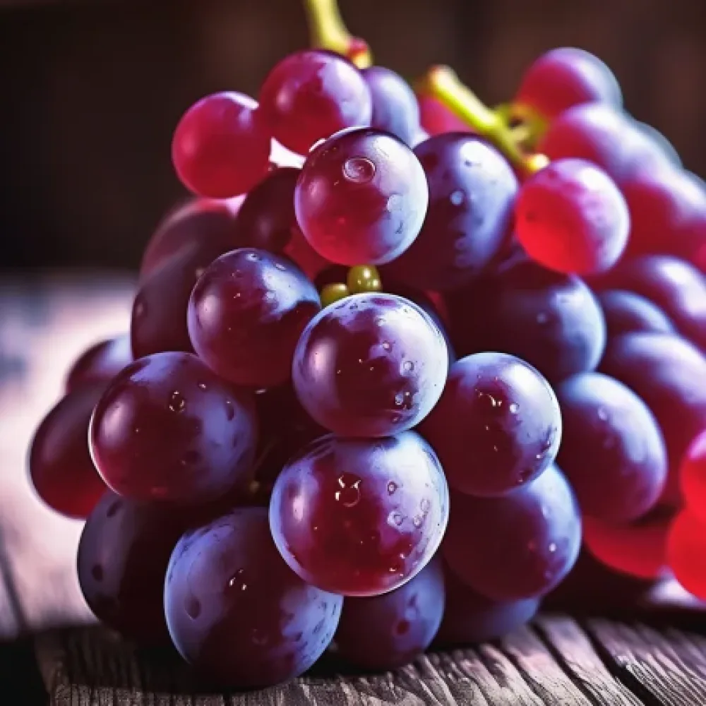 Viiniköynnös 'Ruby Seedless' – siemenetön rypäle, myöhäinen