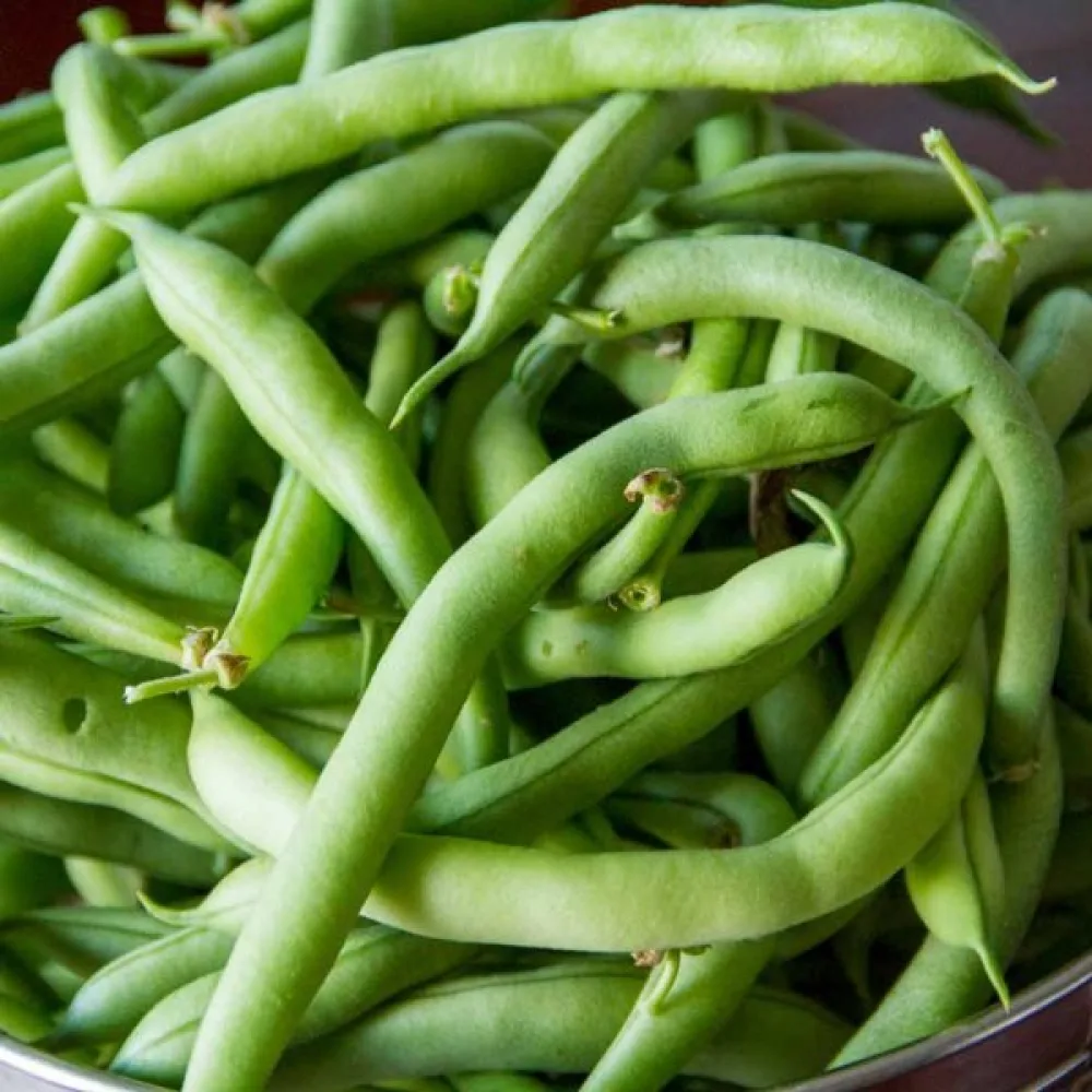 Tarhapapu 'Tendergreen'