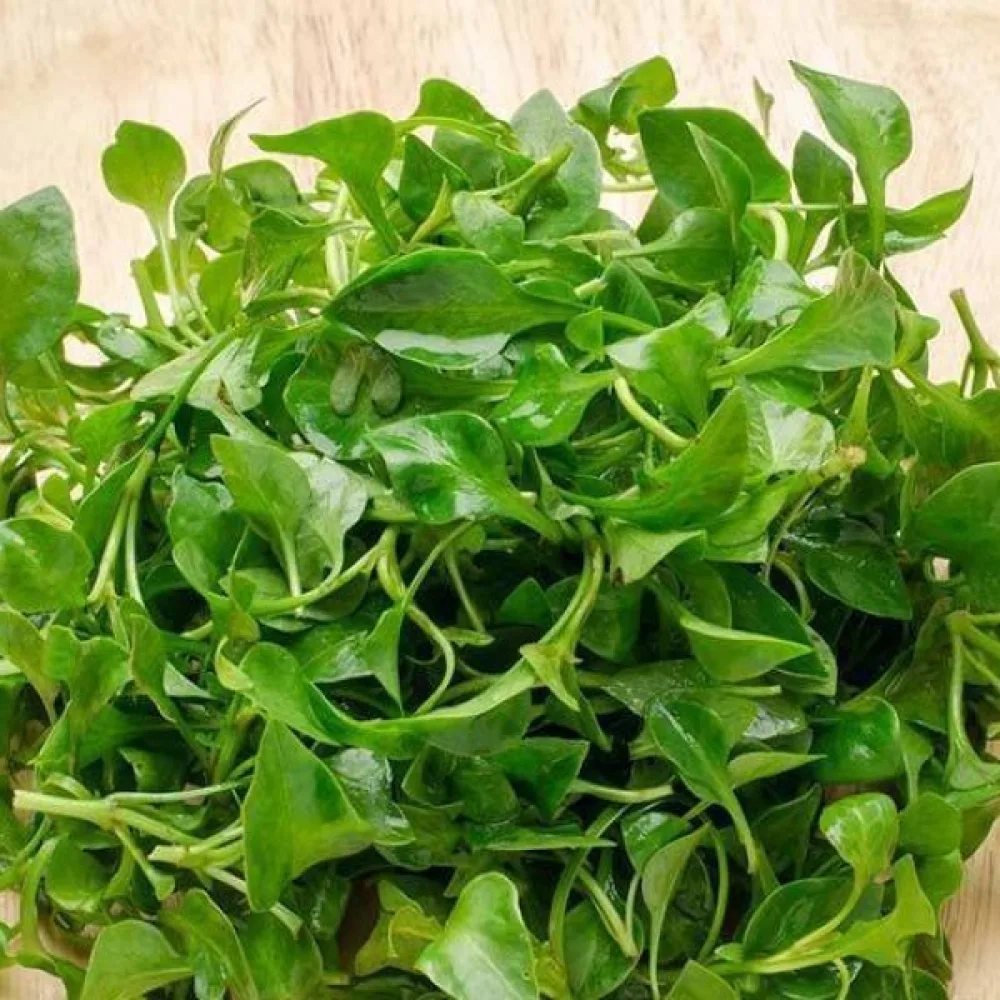 Vihanneskrassi, kähärä