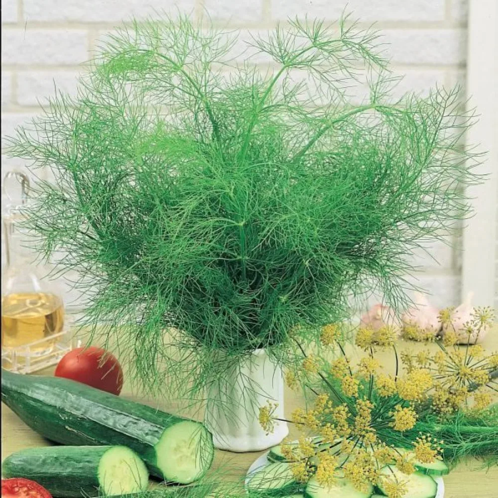 Tilli 'Bouquet'