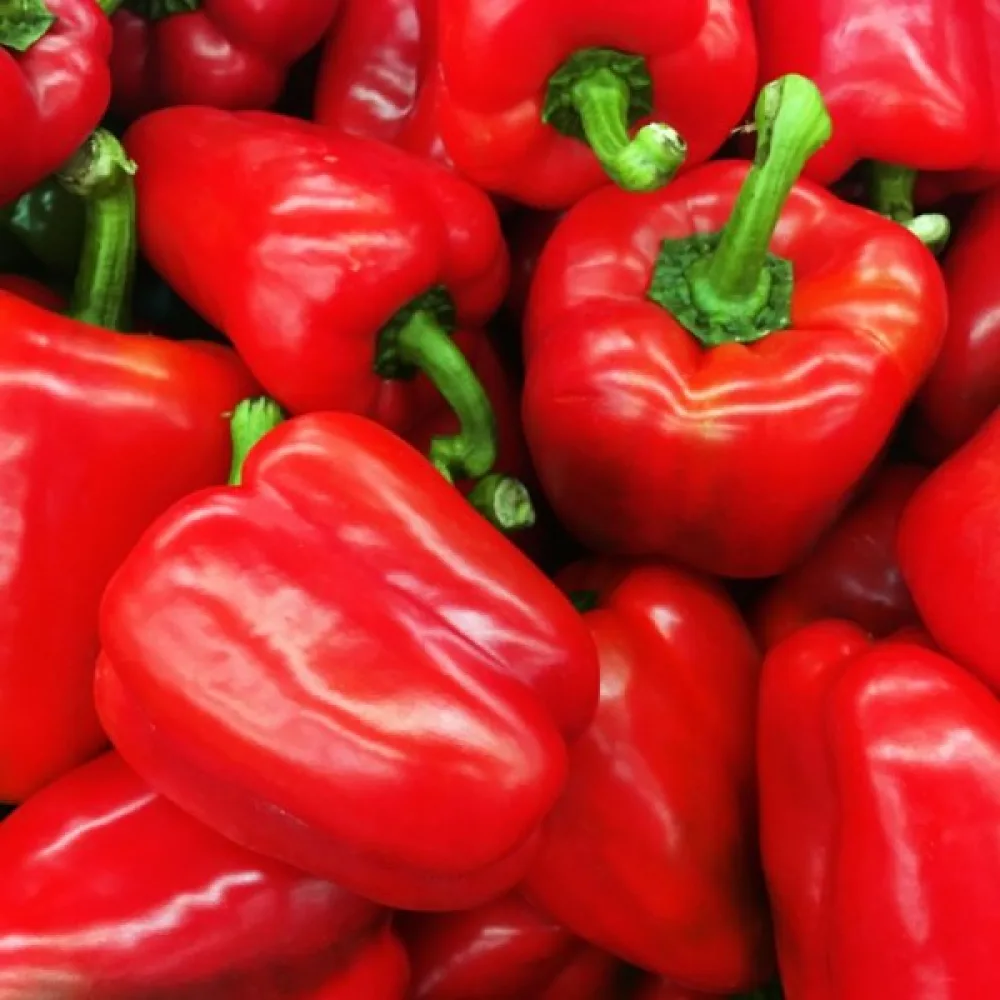 Paprika 'Ożarowska'