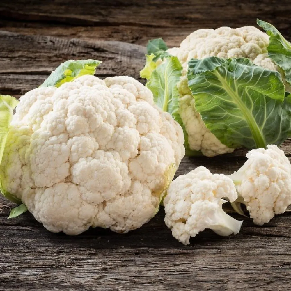 Kukkakaali 'Early Snowball X'