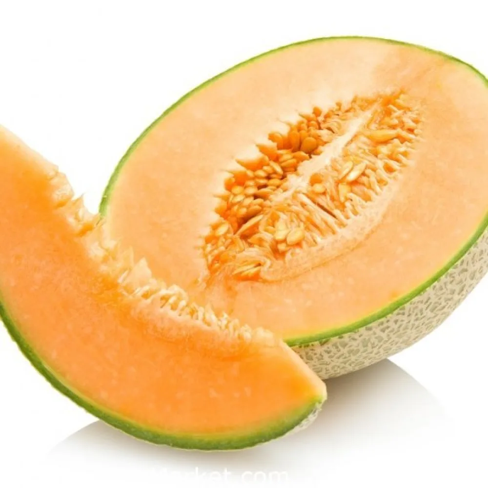 Meloni 'Junior'