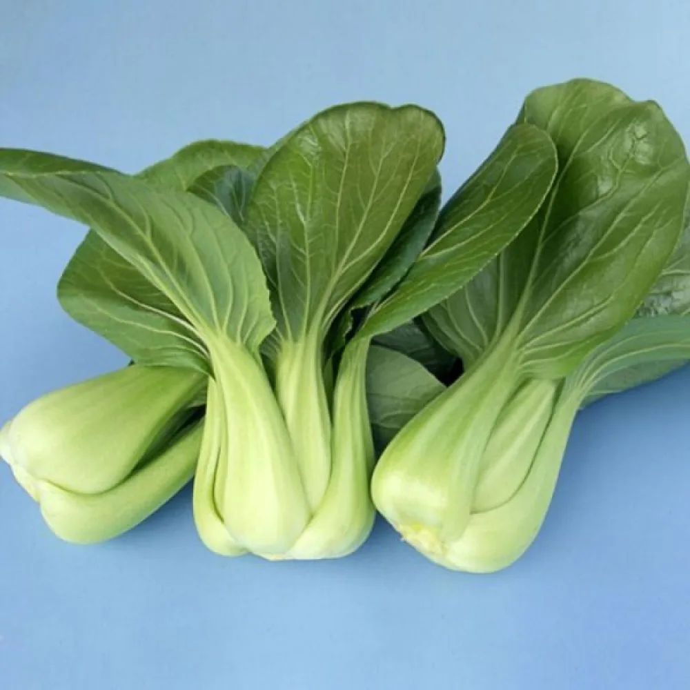 Pak choi, vihreä