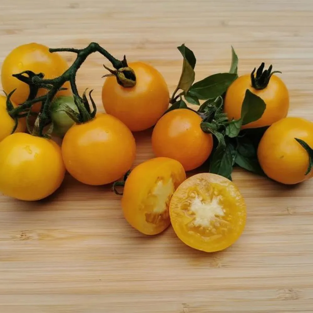 Tomaatti 'Goldene Königin'