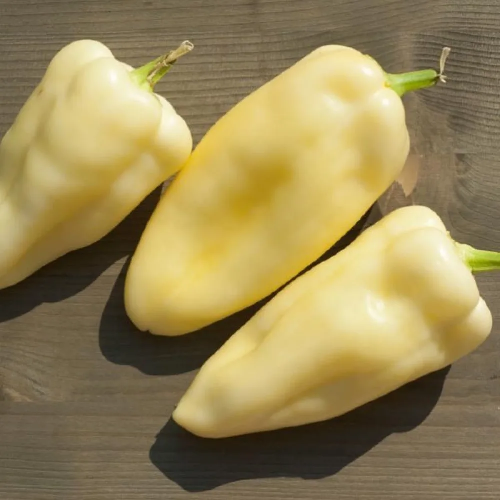 Paprika 'Mira'