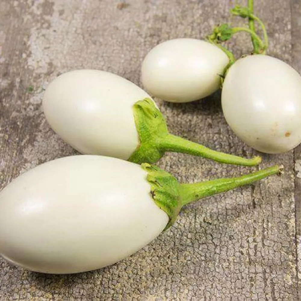 Munakoiso 'White Egg'