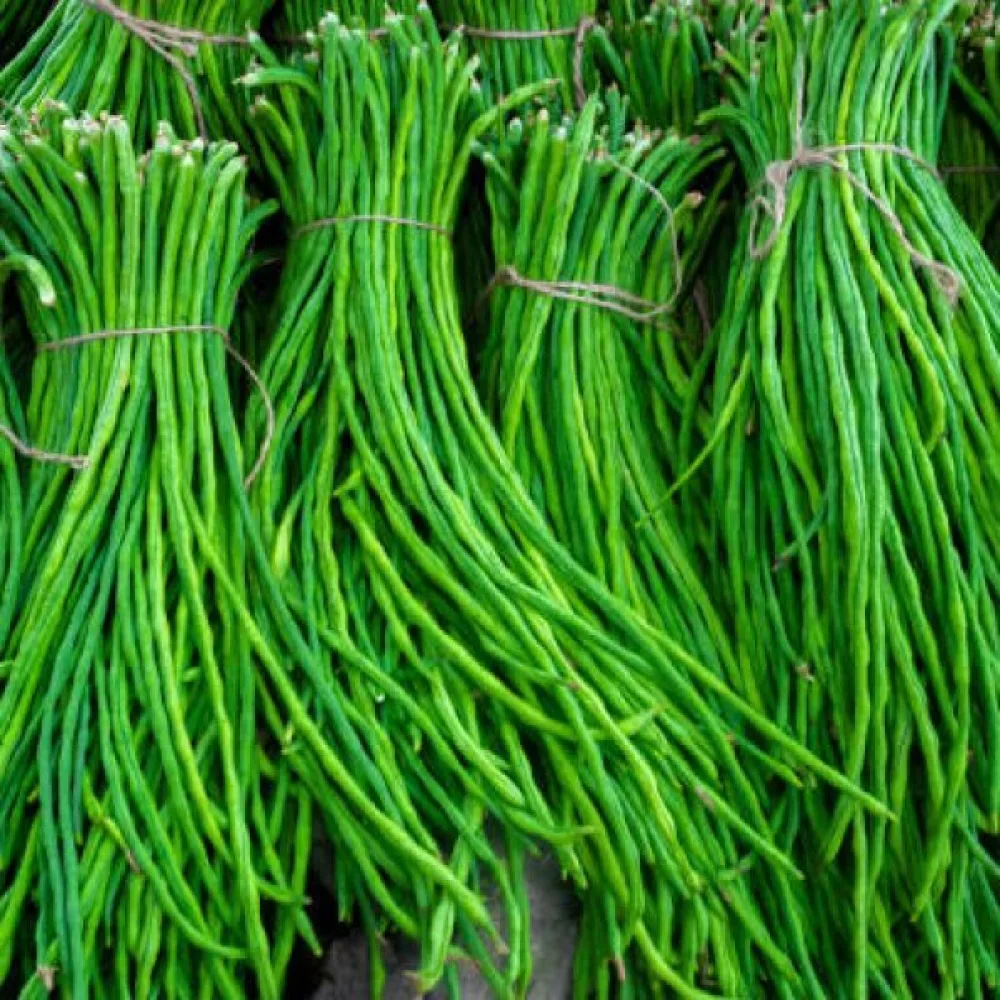 Parsapapu 'Metro Nero'
