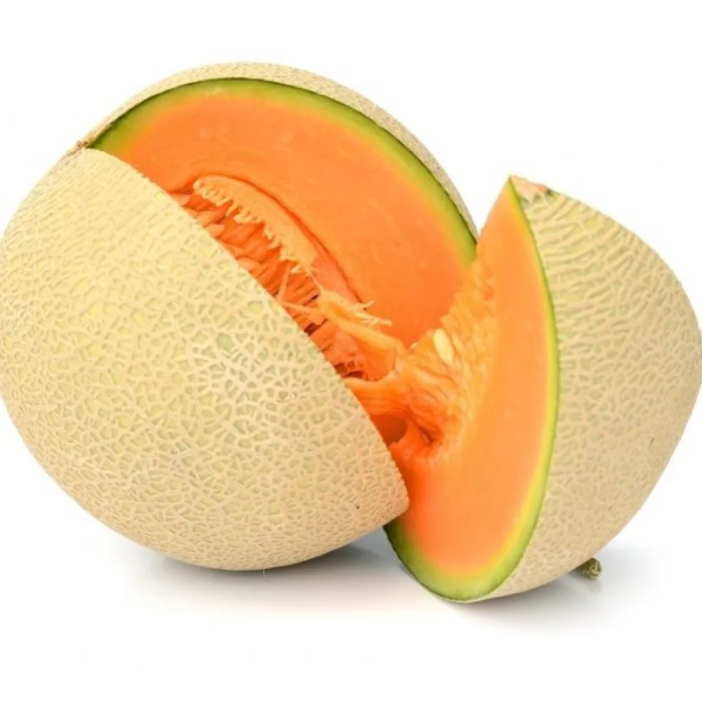 Meloni 'Junior'