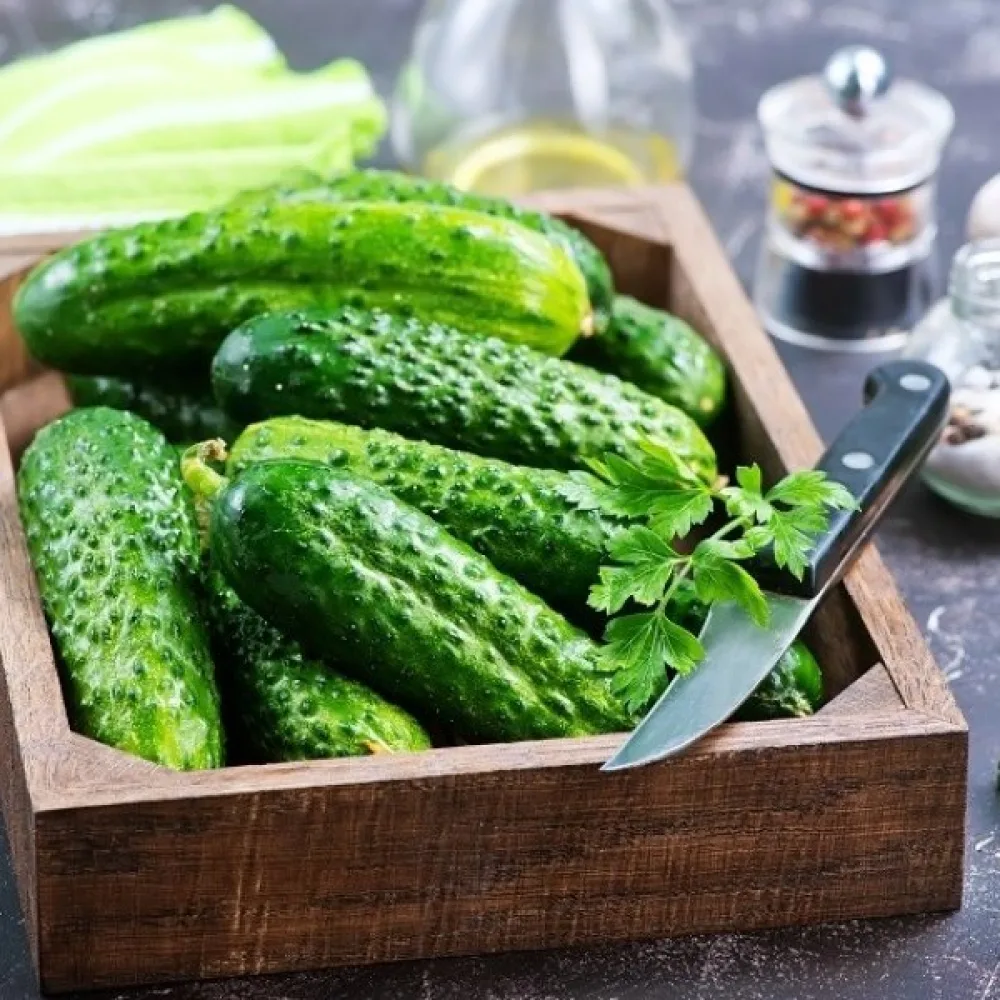 Avomaankurkku 'Izyd' F1